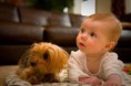/album/fotogaleria/images-2-jpg/